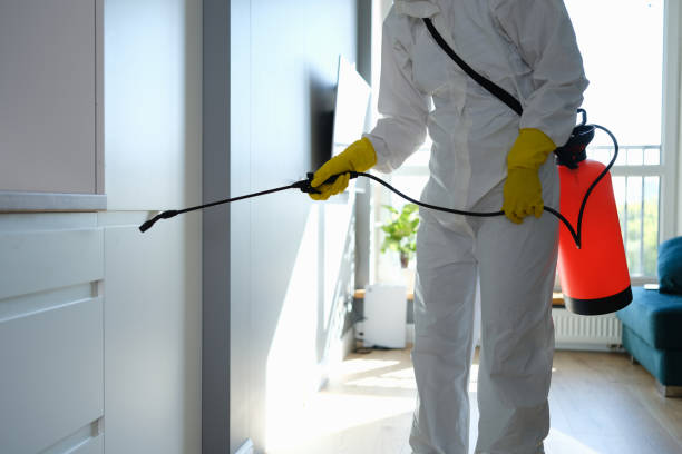 Best Office Mold Removal Services  in Chino, CA